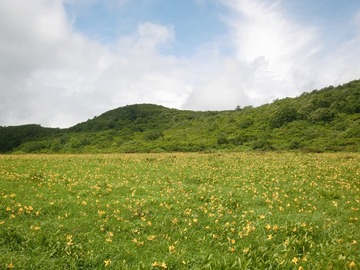 115.jpg
