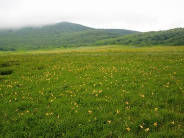 118.jpg