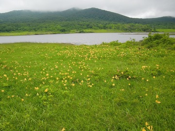 119.jpg