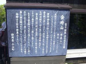 @金時10-5 038s-.jpg