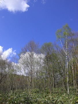 @日光湯元10-6 041s-.jpg