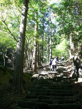 大山 09 11-3 008s-.jpg