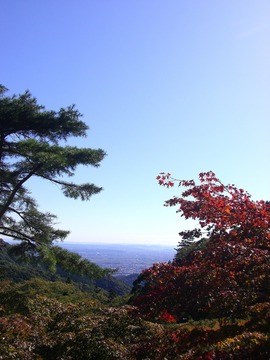 大山 09 11-3 010s-.jpg