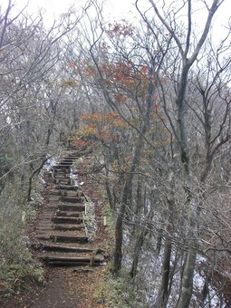 大山 09 11-3 026s-.jpg