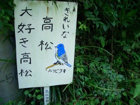 丹沢 06 011s-.jpg
