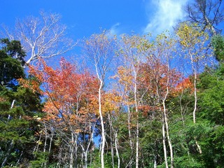 日光白根山 06 026s-.jpg