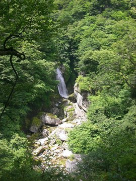 尾白川 09 7.20 020s-.jpg