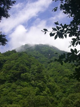 尾白川 09 7.20 021s-.jpg