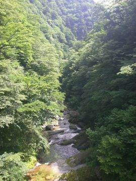 尾白川 09 7.20 026s-.jpg