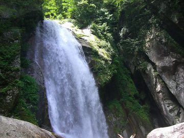 尾白川 09 7.20 037s-.jpg