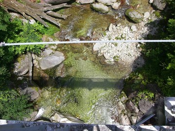尾白川 09 7.20 049s-.jpg