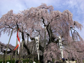 三春 08 010.jpg