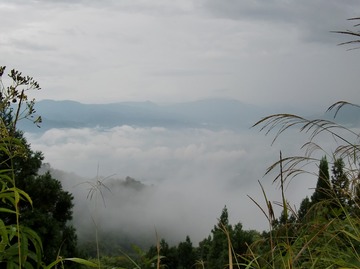 @涌井 10-09 033s-.jpg