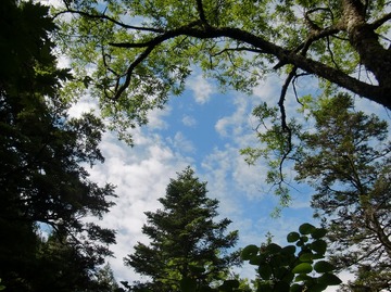 @谷地平 10-08 026s-.jpg