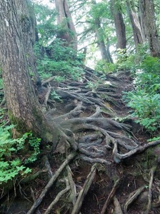 @谷地平 10-08 071s-.jpg
