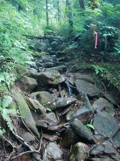 @谷地平 10-08 072s-.jpg