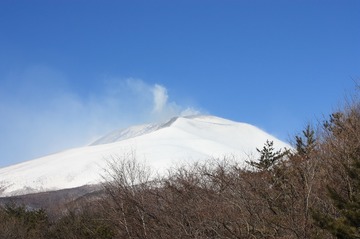 IMG_0342.jpg
