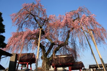 IMG_0496s-.jpg