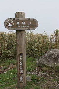 IMG_3384.jpg