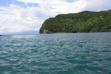 IMG_3391.jpg