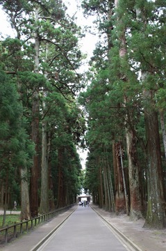 IMG_3466.jpg