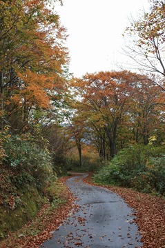 IMG_3608.jpg