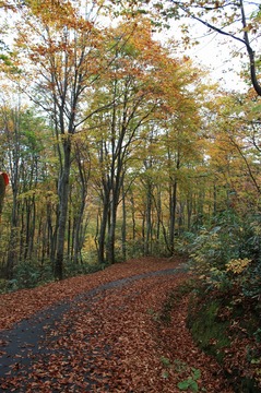 IMG_3614.jpg