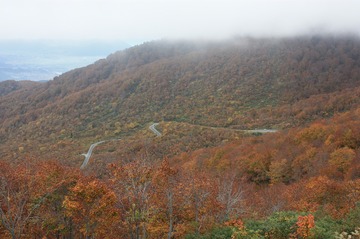 IMG_3630.jpg