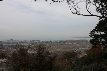 IMG_3655.jpg