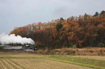 IMG_3701.jpg