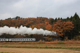 IMG_3705.jpg