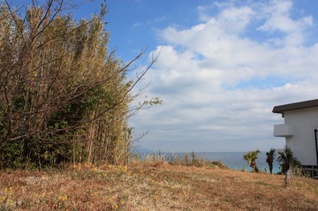 IMG_3834.jpg