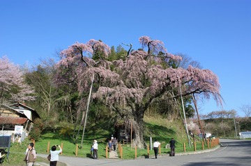 IMG_4179.jpg
