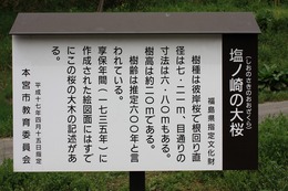 IMG_4337.jpg