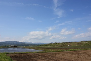 IMG_4475.jpg