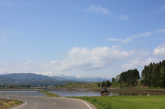 IMG_4476.jpg