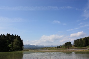 IMG_4479.jpg