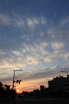 IMG_4508.jpg