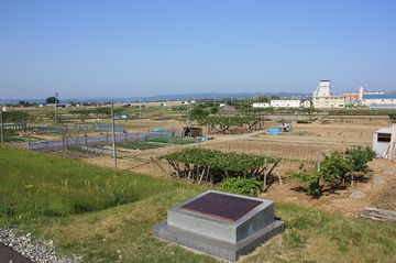 IMG_4511.jpg