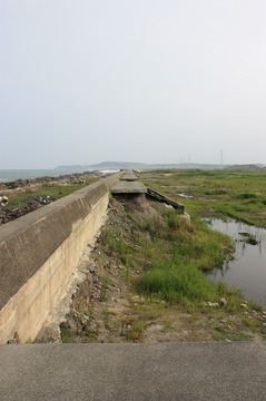 IMG_4768.jpg