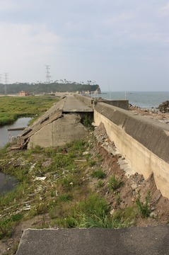 IMG_4770.jpg