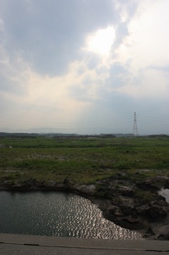 IMG_4774.jpg