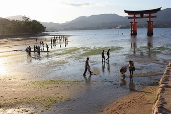 IMG_4989.jpg