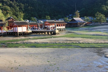 IMG_4990.jpg