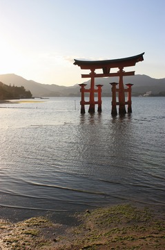 IMG_4997.jpg