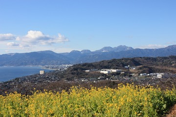 IMG_5557.jpg
