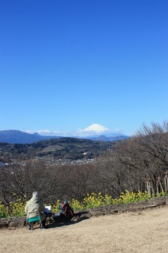 IMG_5575.jpg