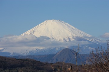 IMG_5577.jpg