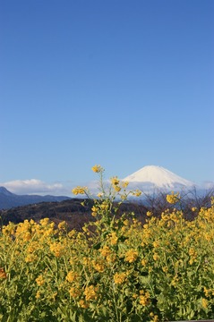 IMG_5578.jpg