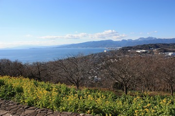 IMG_5579.jpg